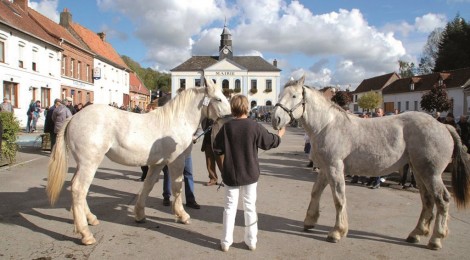 Concours et vente de chevaux boulonnais