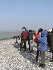 MINOLTA DIGITAL CAMERA