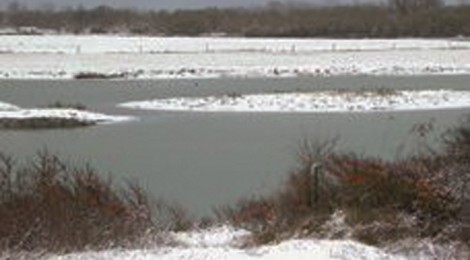 Le Pass "Oxygène" 1 journée au Parc du Marquenterre