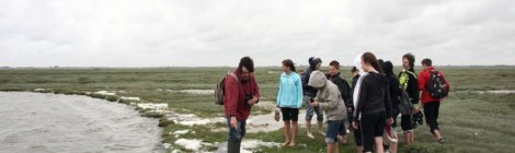 Du Sud au Nord : traversée de la Baie de Somme