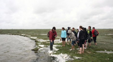 Du Sud au Nord : traversée de la Baie de Somme