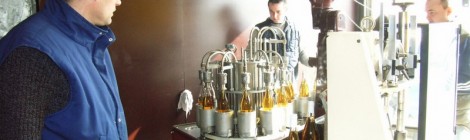 Hydromel et Cervoise en Fête