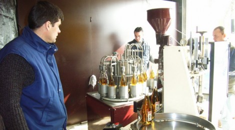 Hydromel et Cervoise en Fête