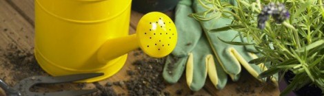 Brocante des jardiniers