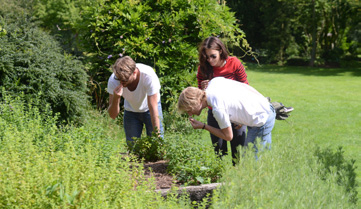 Visite guidée et atelier