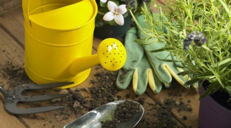 Bourse aux plantes