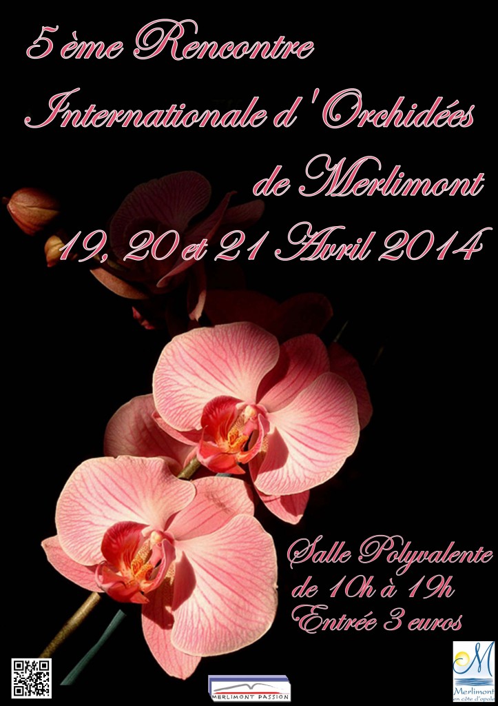 19 04 merlimont rencontre orchidees