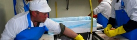 Les "Régals du Touquet"