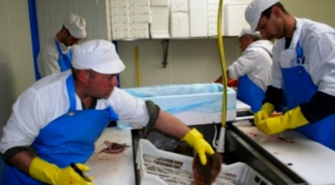 Les "Régals du Touquet"