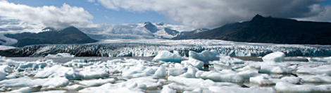 Festival de l’Oiseau et de la Nature 2014