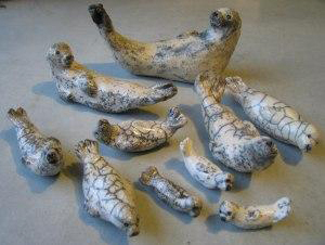 abbeville destival oiseau Laure BRUAS