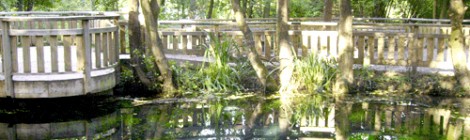 Balade guidée "La vie au fil de l'eau"