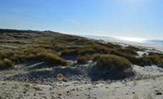 Balade Pédestre guidée en Baie d’Authie