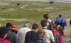 Traversée de la baie de Somme