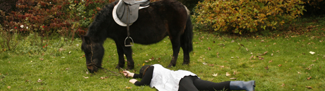 Exposition de Marjorie Dublicq