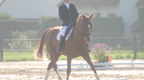 Equitation.