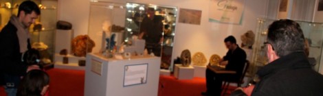 Musée Quentovic : Découverte des collections