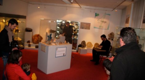 Musée Quentovic : Découverte des collections