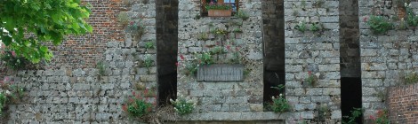 Animations dans le cadre de la Nuit des Musées 