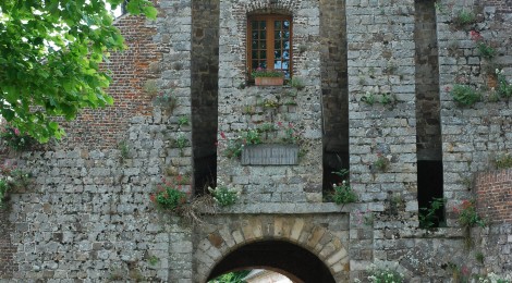 Animations dans le cadre de la Nuit des Musées 