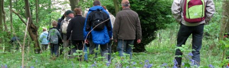 Randoferme de Enquin sur Baillons