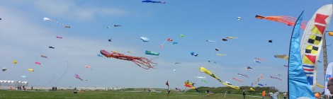 Festival des Cerfs-Volants