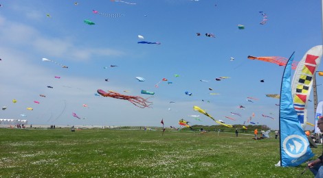 Festival des Cerfs-Volants