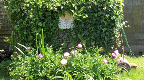 Rendez-vous au Jardin avec la DRAC