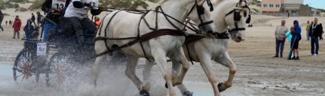Marathon d’Attelages sur la plage