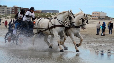 Marathon d’Attelages sur la plage