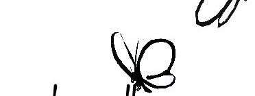 Concert du groupe "Papillons Noirs"