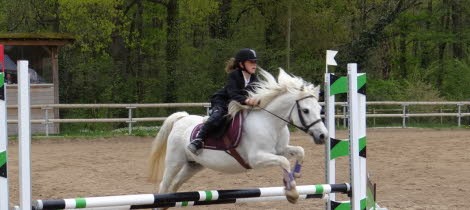 Concours de Sauts d’Obstacles Club et Poney. 