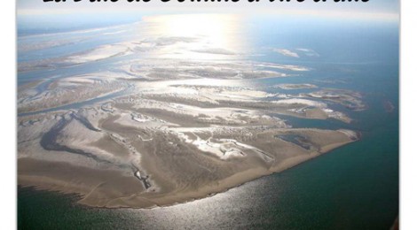 "La Baie de Somme à tire d’aile"