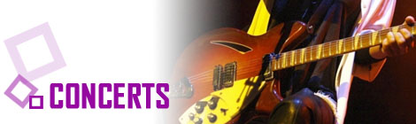 Concert du groupe "100% Stones" en soirée