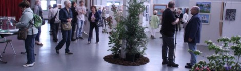 Salon Peinture Nature