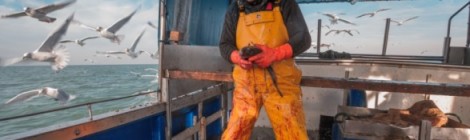 EXPOSITION DES PHOTOGRAPHIES  DE «FRÉDÉRIC BRIOIS »