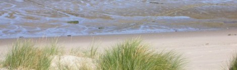 LES SORTIES NATURE : Quand la nature inspire l'homme