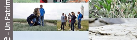 Découverte de la Pointe du Hourdel et de la colonie de phoques.