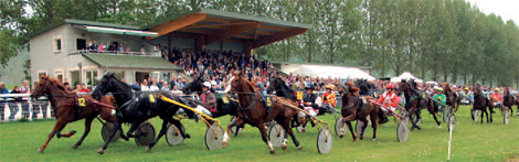 Réunion de courses > Courses au trot
