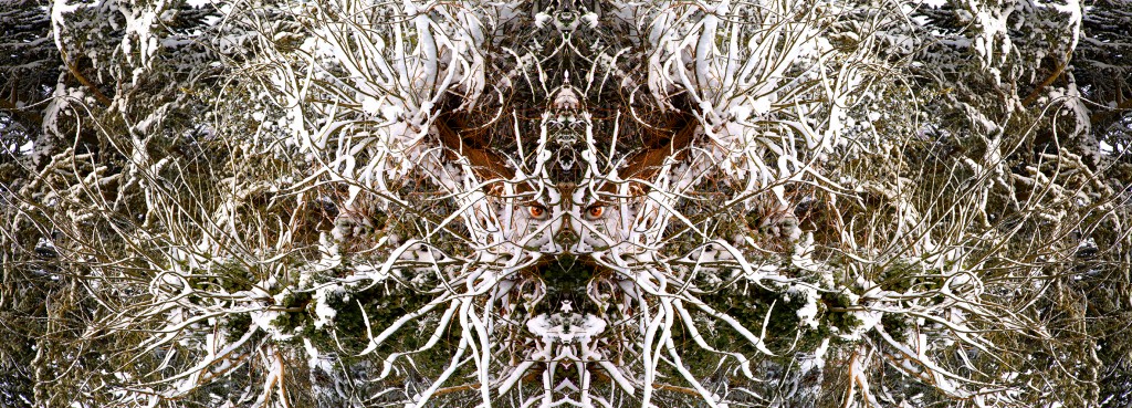 abbeville Bernard Vincent Les rets du dragon