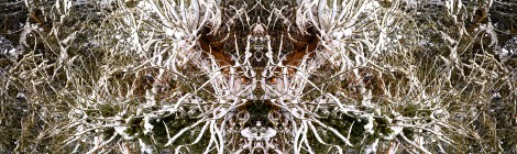 Polyptyques Sylvestres, Chimères et autres apparitions