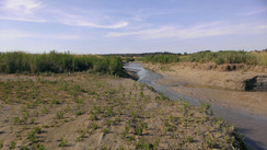 Premiers pas en baie d’Authie