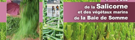 ... jusqu'au 6 juillet