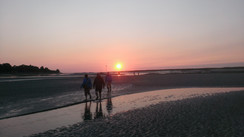 La Nature s’éveille...