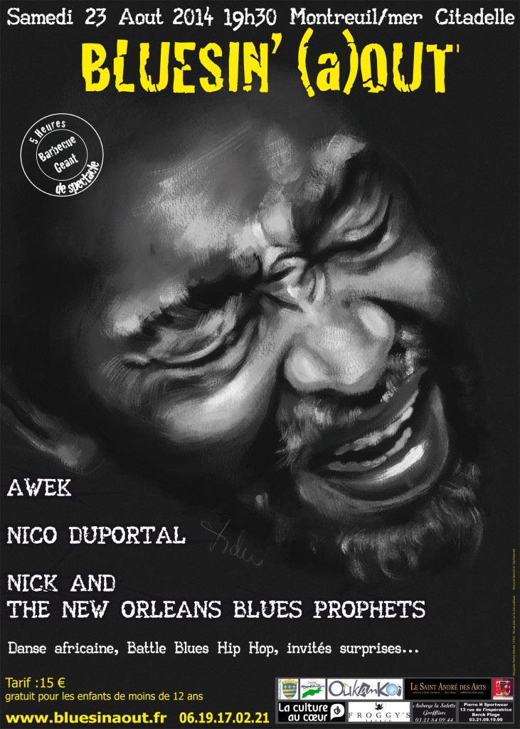 affiche bluesinaout 2014