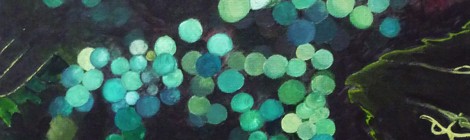 "Un certain regard sur les fleurs"