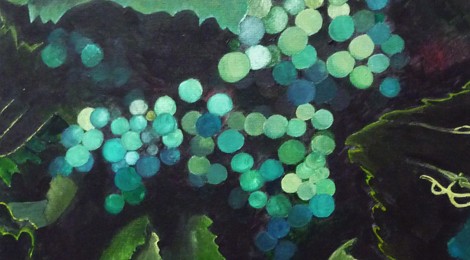 "Un certain regard sur les fleurs"