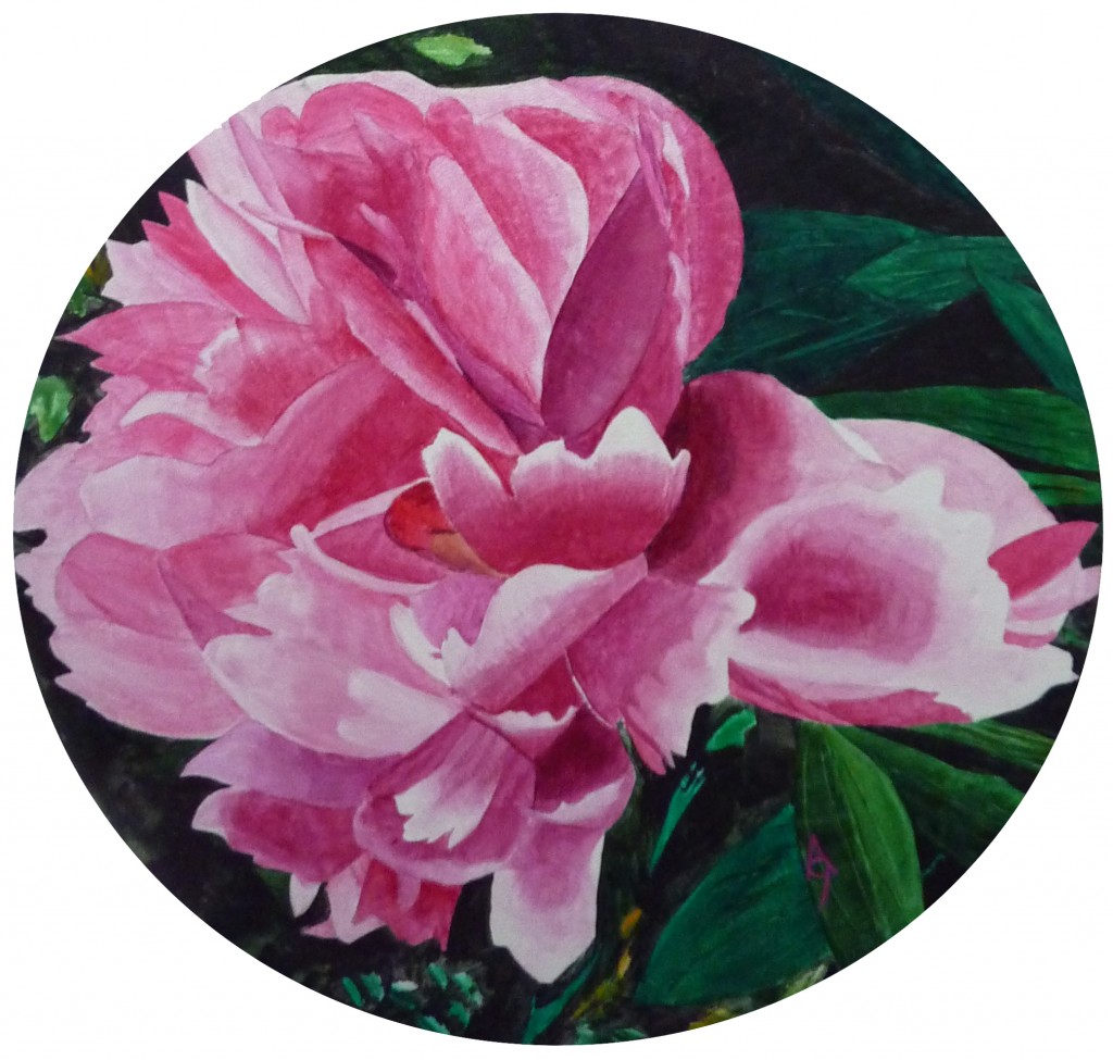 fort mahon anny chabassier2