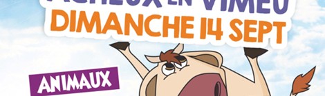 Amuseon en déambulation à "Plaine en Fête"