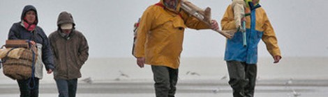 Allons pêcher la crevette